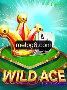 Explorando o Envolvente Mundo de WildAce